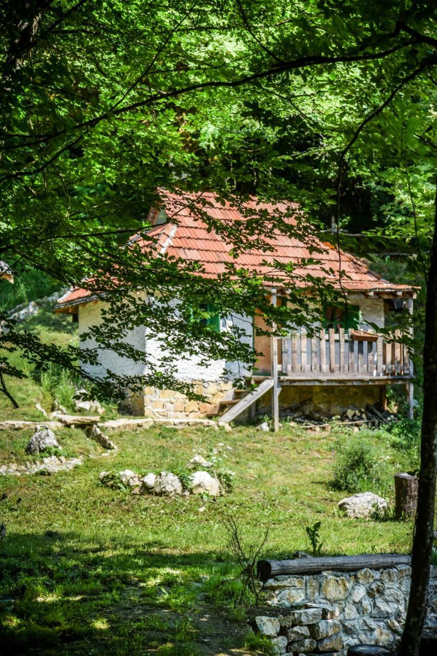 Camp Divlja Rijeka Hotel Hum Exterior photo